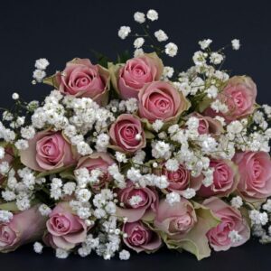 Flores y Plantas